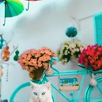 Duru Butik بودروم