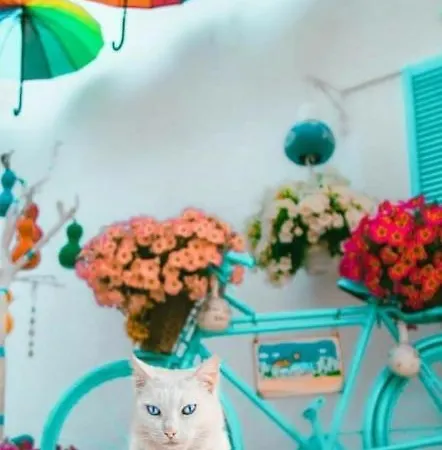 Duru Butik ボドルム